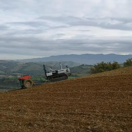 Podere Prataccio