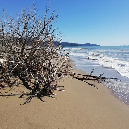 Podere Prataccio Κατάλυμα σε φάρμα *