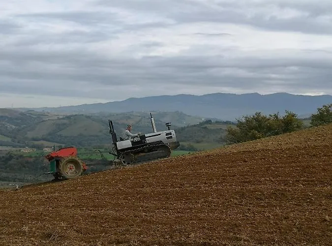 Podere Prataccio