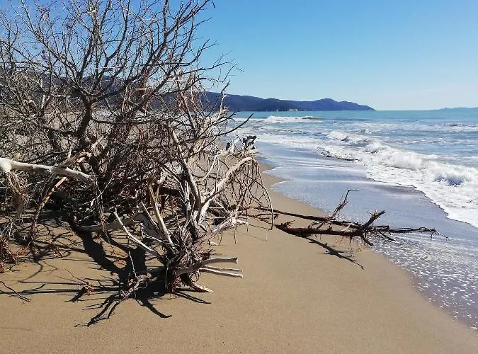Podere Prataccio Κατάλυμα σε φάρμα *